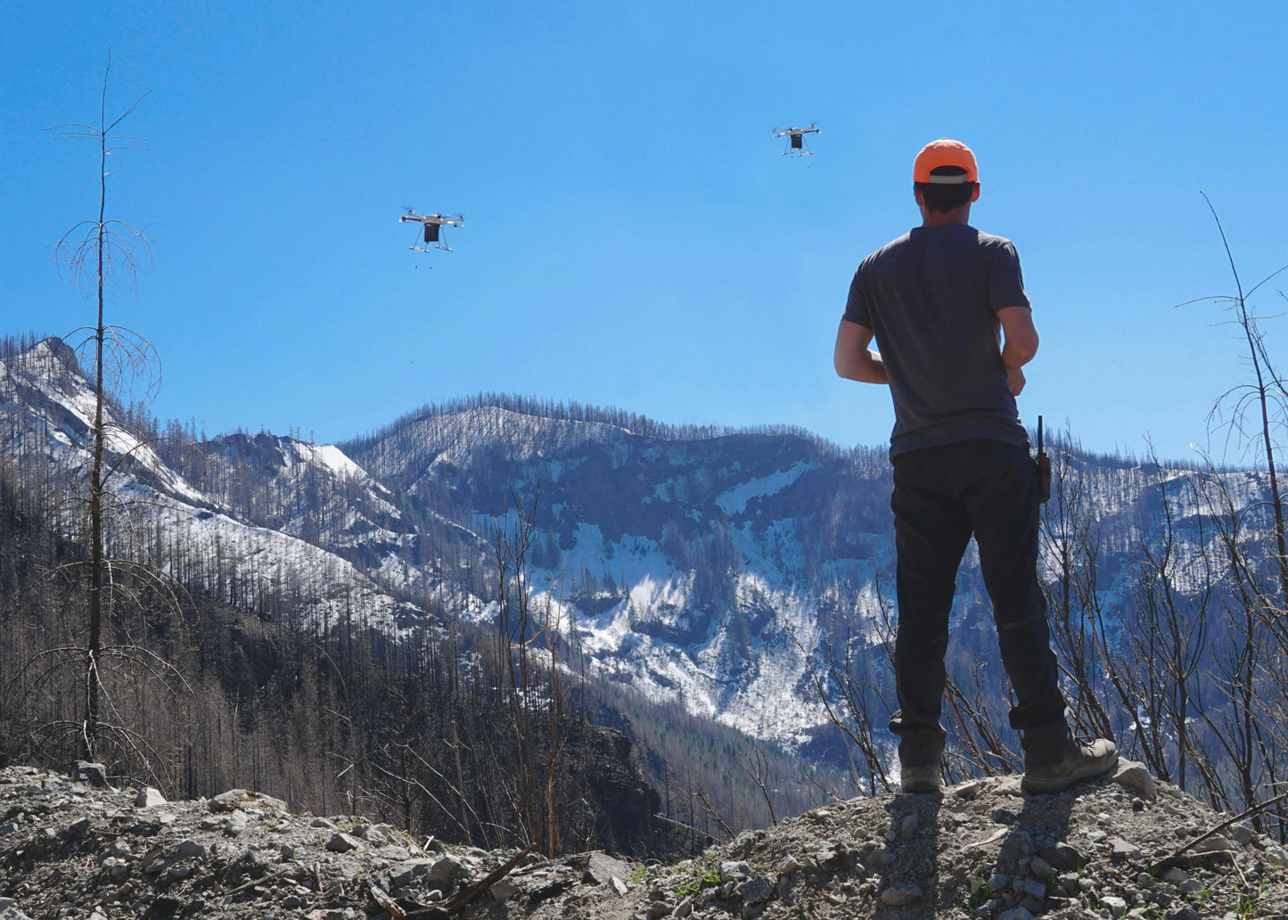 Support for groundbreaking carbon removal technologies. - Maverick Miracles