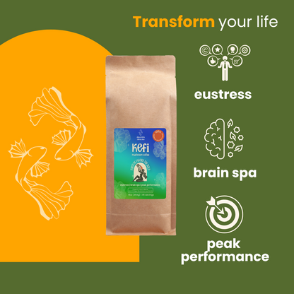 Kefi Coffee - Lion’s Mane & Chaga mushroom