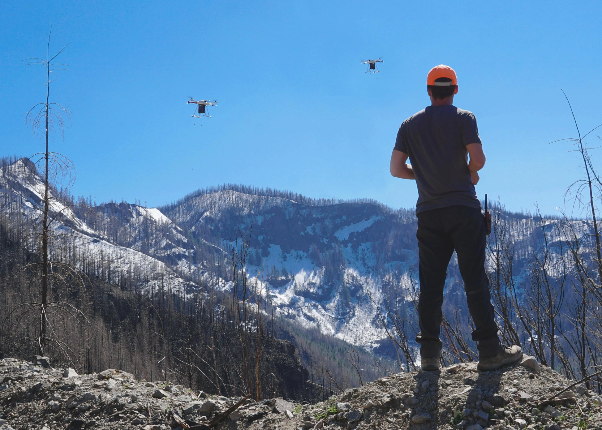 Support for groundbreaking carbon removal technologies. - Maverick Miracles
